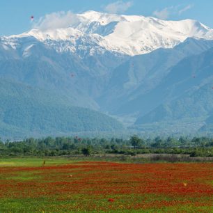 Gabala