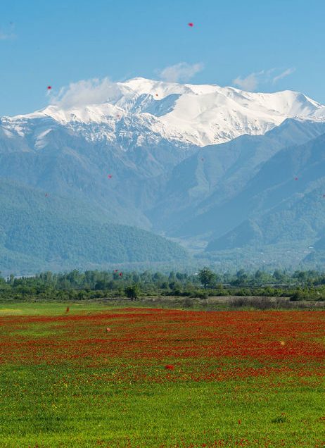 Gabala